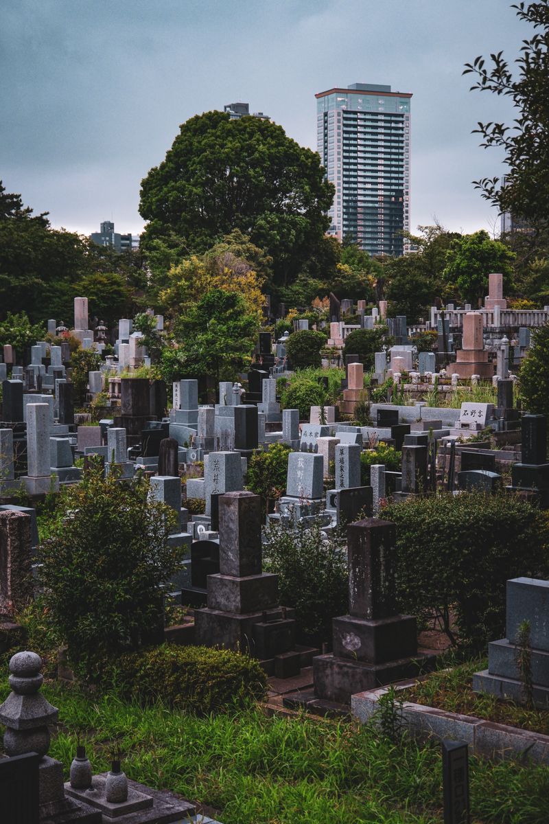 明るい墓地の風景